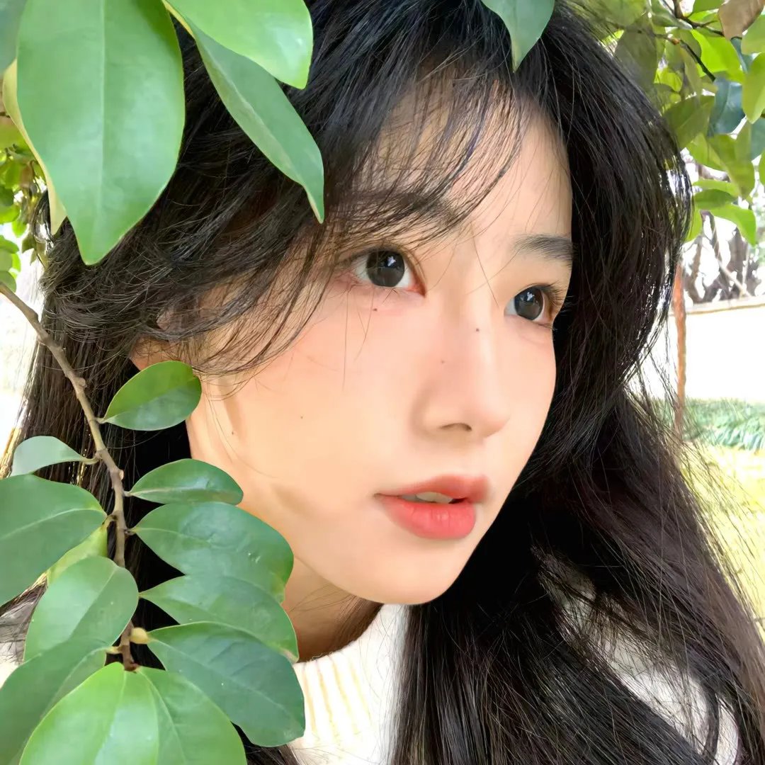 移城别恋